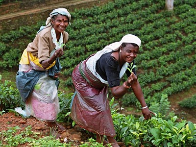 Srí Lanka - Maledivy - 2020